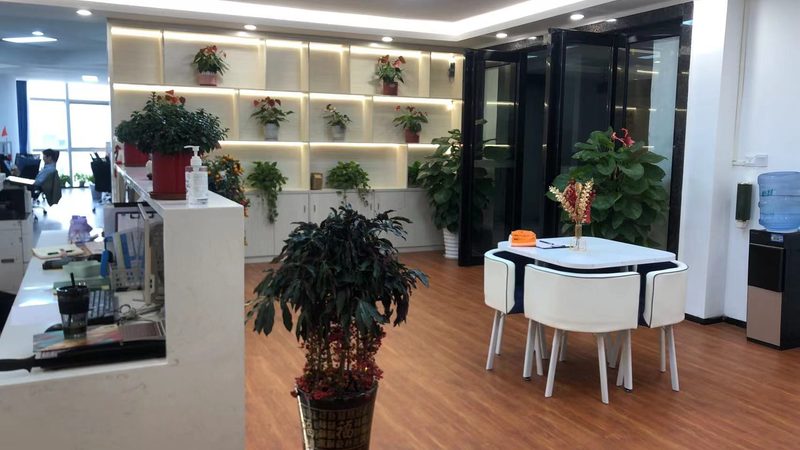 职能型与事业部制：组织架构的差异化解析**