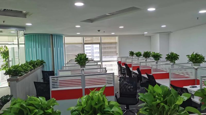 企业管理体系标准化建设：打造高效运营的基石**